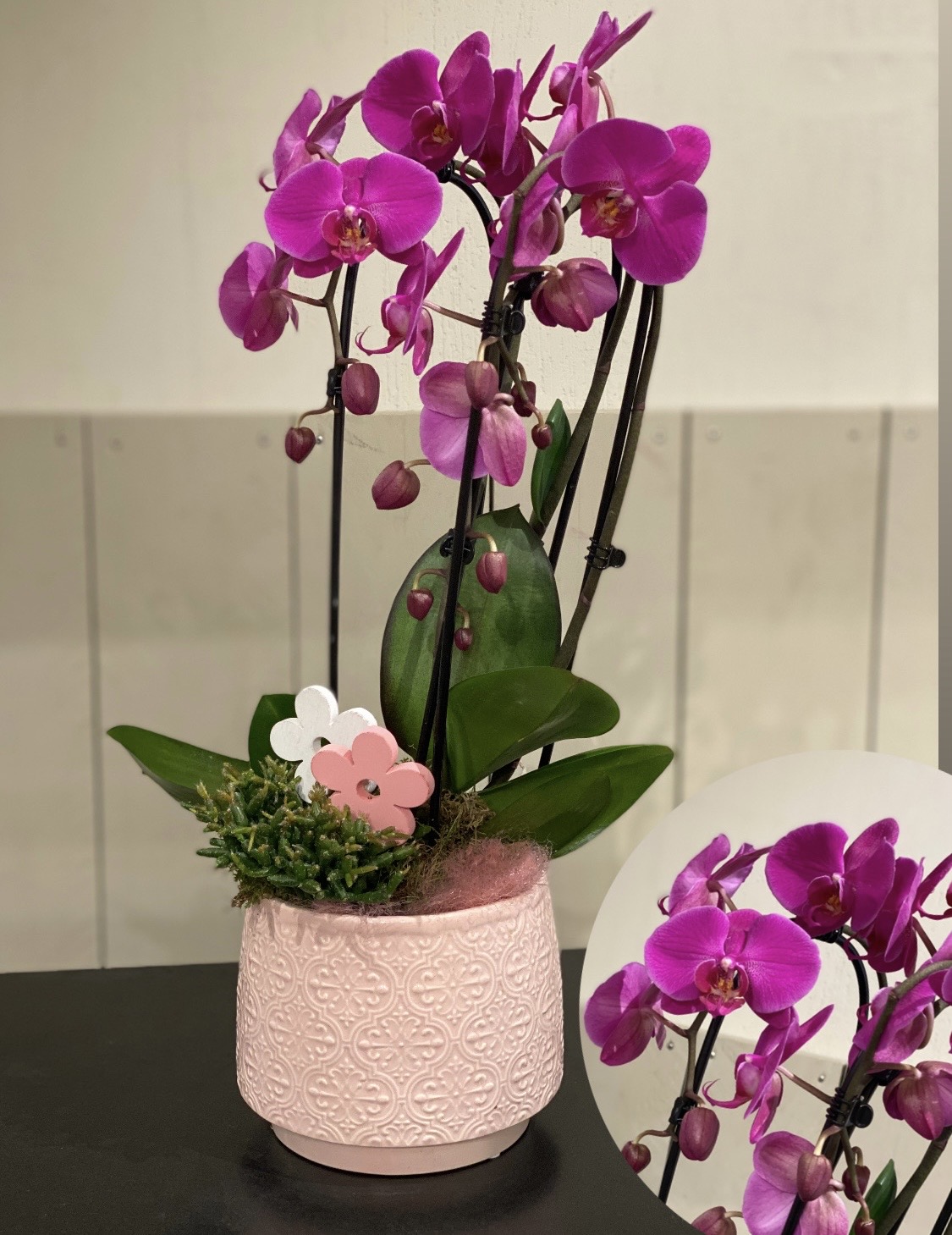 Luxe Paarse Orchidee in pot
